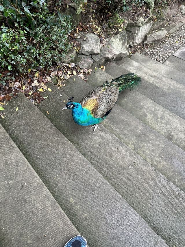 会稽山风景区旅行图片 3