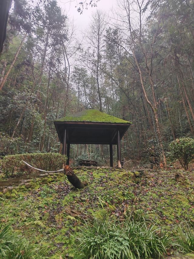 天沐温泉旅行图片 1