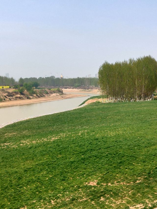 泾渭分明观景台旅行图片 6