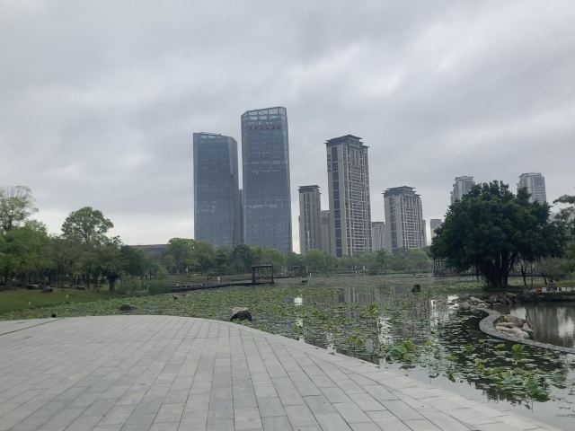 碧湖生态公园旅行图片 5