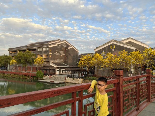 华阳湖国家湿地公园旅行图片 1
