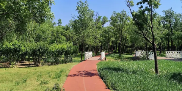 官港森林公園