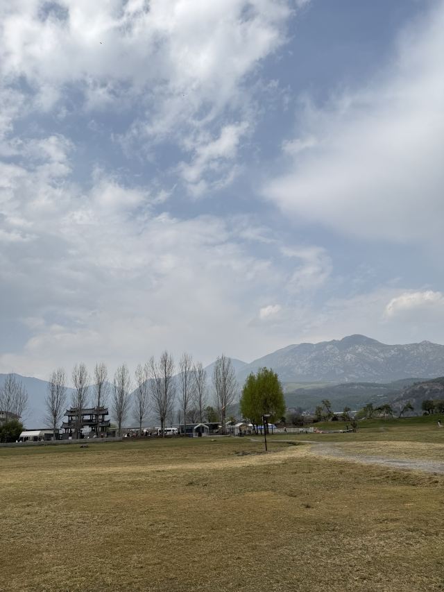 候鸟湾湿地旅行图片 4