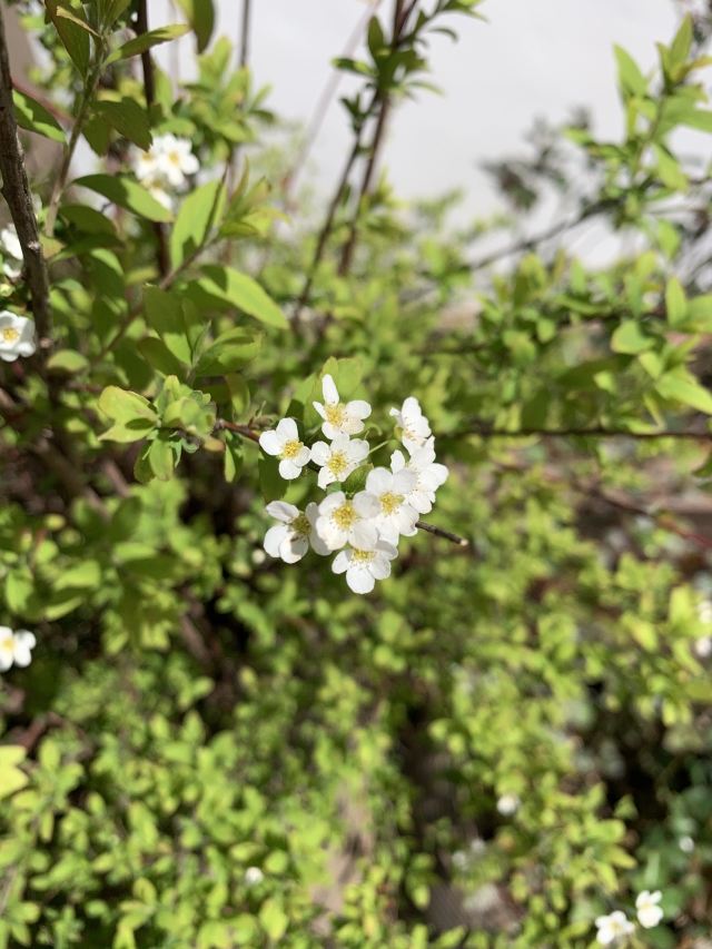 月亮湾旅行图片 3