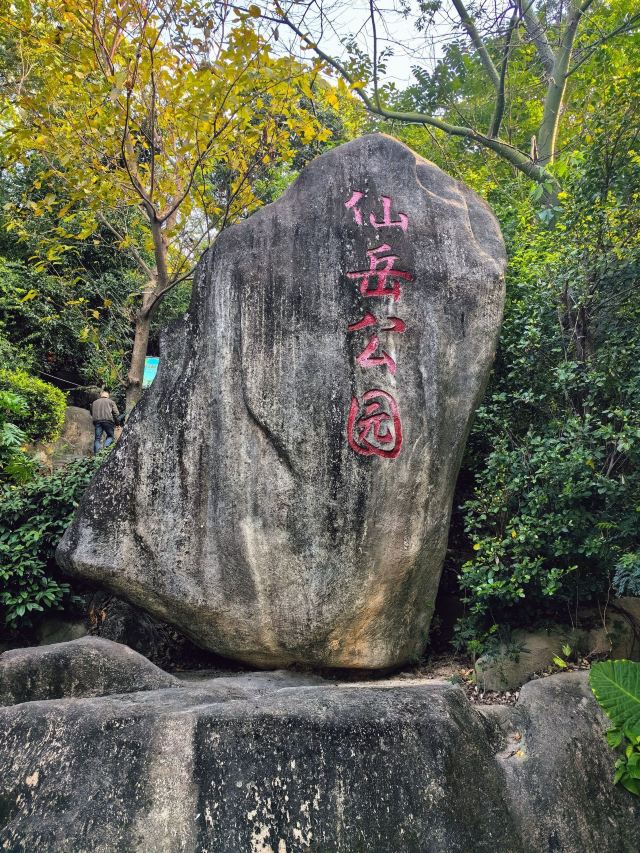 仙岳公园旅行图片 2
