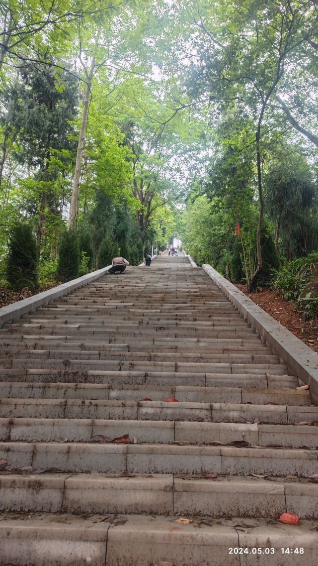 李冰陵园旅行图片 2