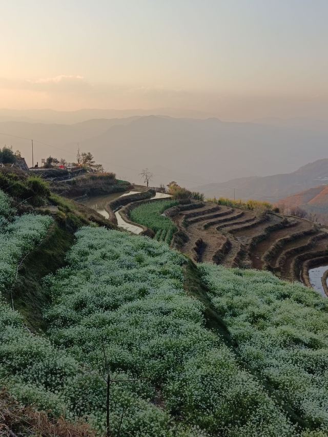 新山梯田旅行图片 2