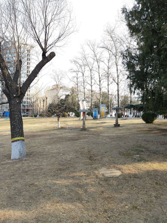 长安公园旅行图片 3