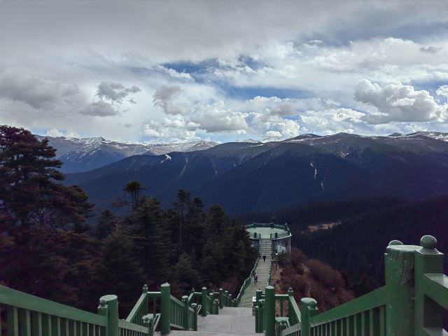 鲁朗林海风景区旅行图片 3