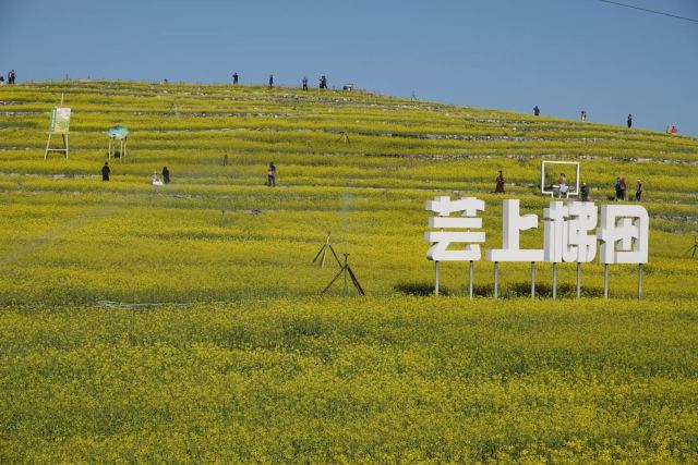 北京温榆河公园·湿地示范-芸上梯田旅行图片 1