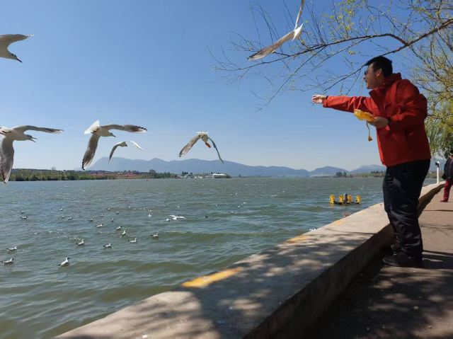 大观公园旅行图片 3