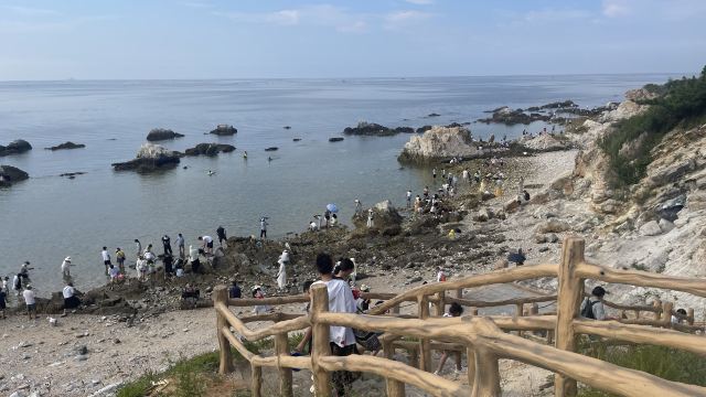养马岛林间花海旅行图片 6