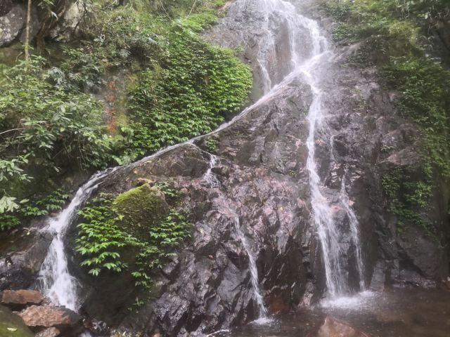 海南热带雨林国家公园五指山景区旅行图片 5