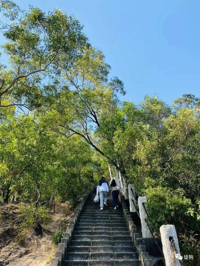 南山公园旅行图片 2