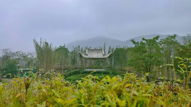 溪禾山铁观音文化园旅行图片 6
