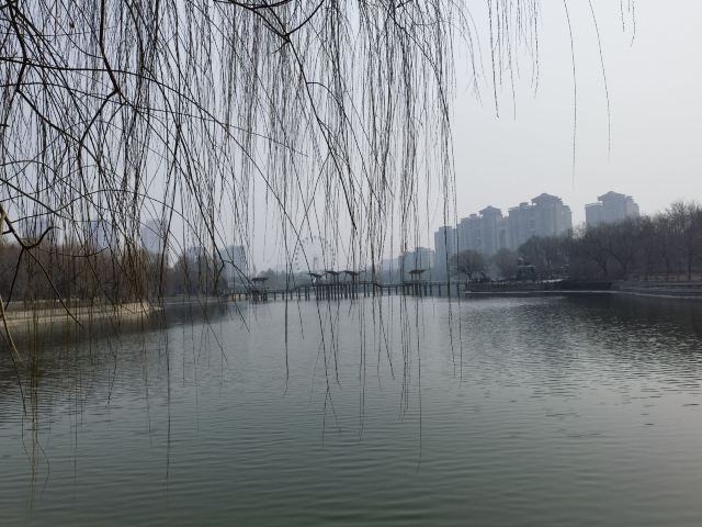 杜鹃湖旅行图片 4