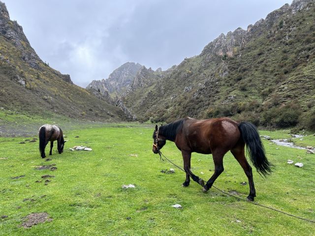 纳摩大峡谷旅行图片 1