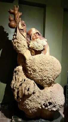 老挝万象神木博物馆-万象-走遍天下XZ