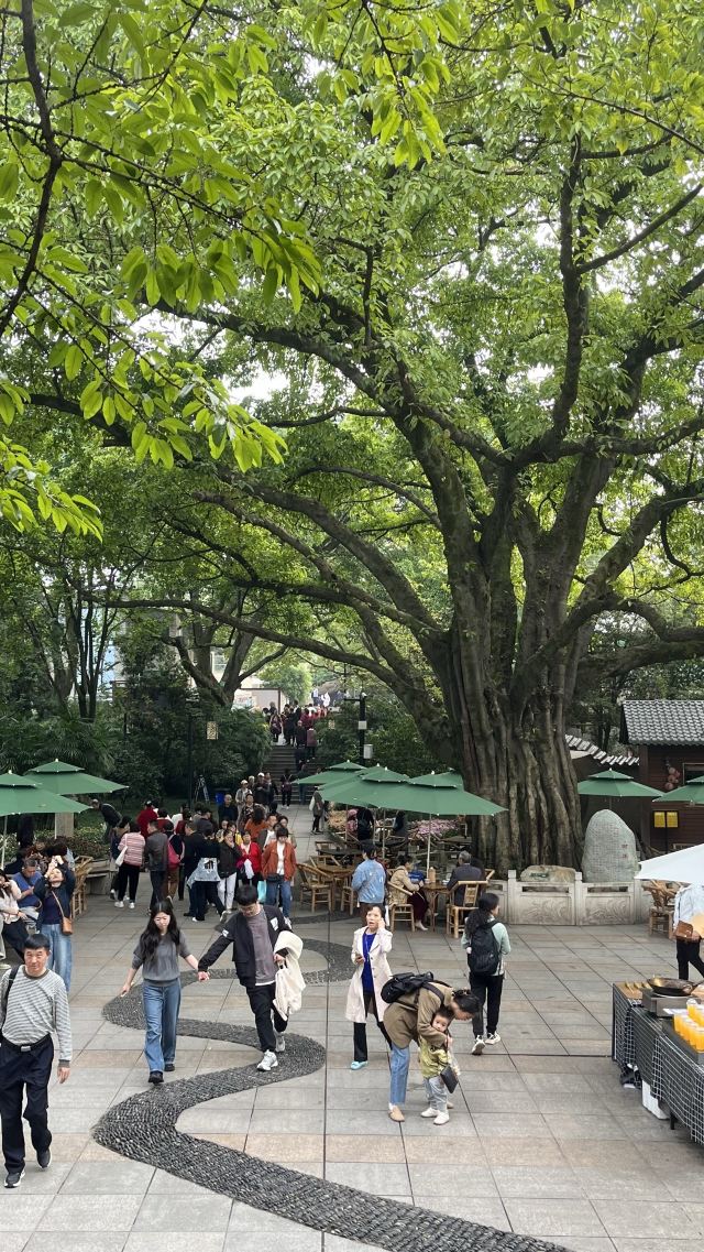 鹅岭公园旅行图片 1