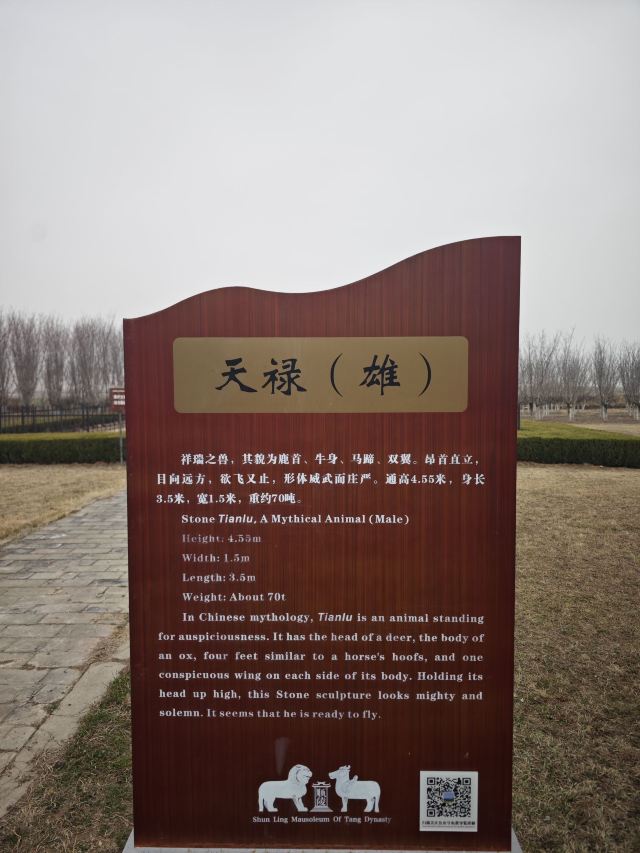 唐顺陵-遗址公园旅行图片 10