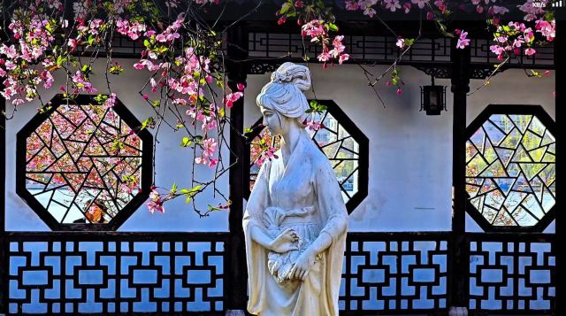 莫愁湖公园旅行图片 4