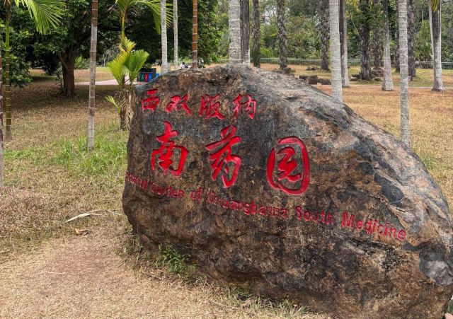 西双版纳南药园旅行图片 1