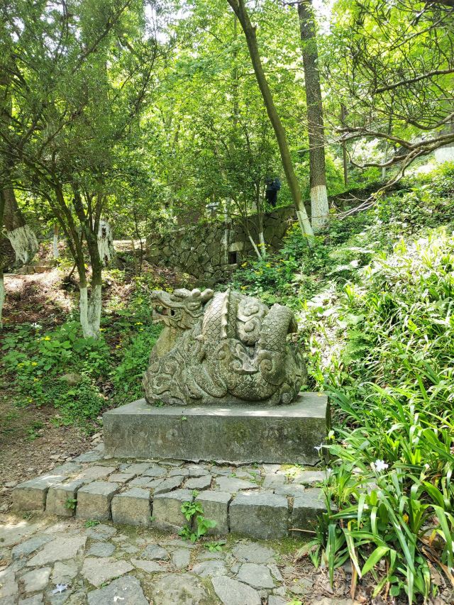 芦花荡公园-园门旅行图片 4
