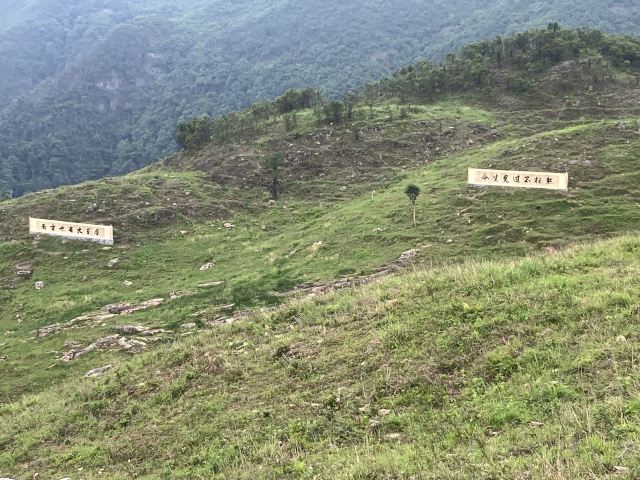 屏山悬索玻璃桥旅行图片 3