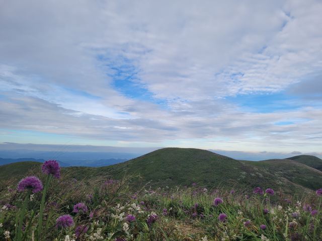 韭菜坪旅行图片 1