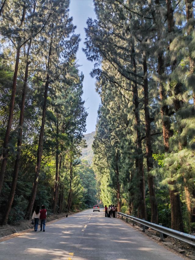 南澳岛生态旅游区旅行图片 3