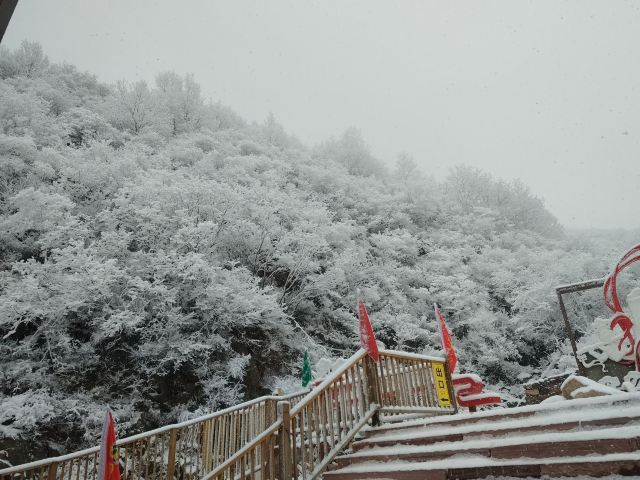 嶂石岩国家地质公园旅行图片 3