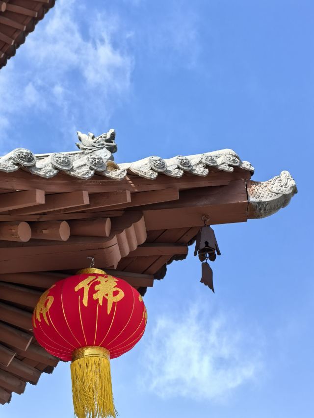净土寺旅行图片 2