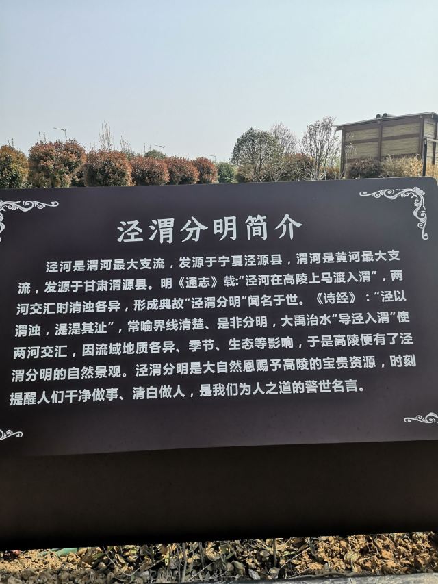 泾渭分明观景台旅行图片 2