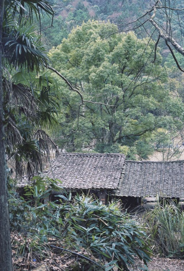 景德镇陶源谷•三宝旅游度假区·三宝蓬艺术聚落旅行图片 3