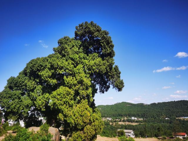 先秦古蜀道旅行图片 4
