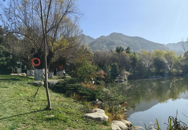 秦岭风景区旅行图片 12