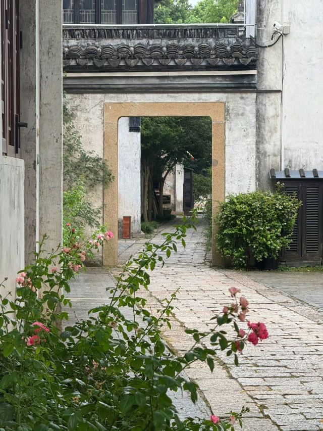 荡口古镇旅行图片 7