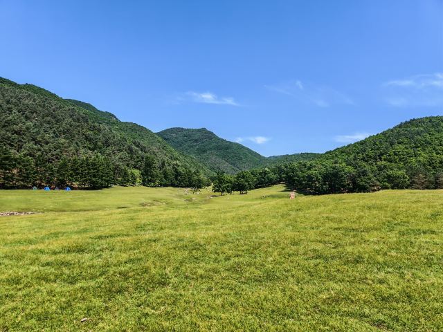 飞泷金山鹿苑旅行图片 2