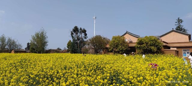 昆明卧龙古渔村旅行图片 4
