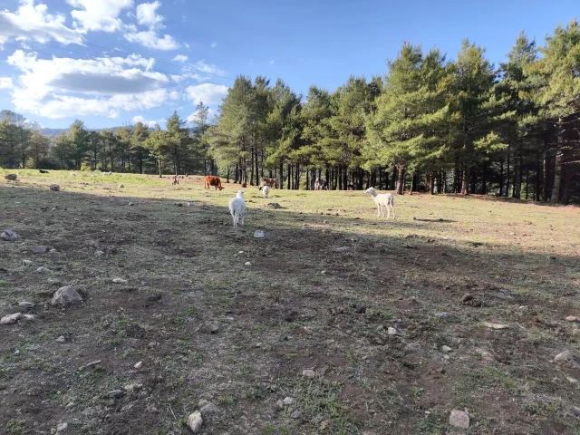鸟吊山旅行图片 2