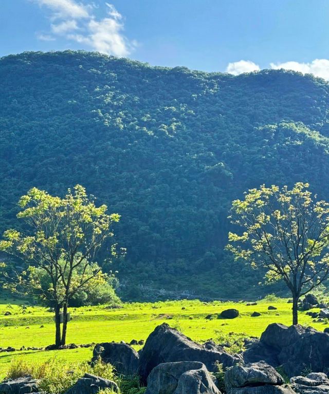 响水石林旅行图片 7