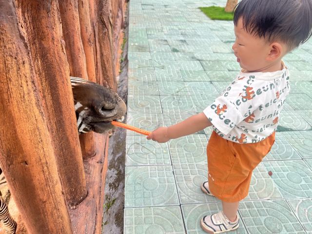 唯美养生谷旅游度假区旅行图片 1