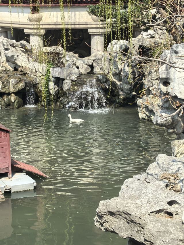 上海豫园旅行图片 7