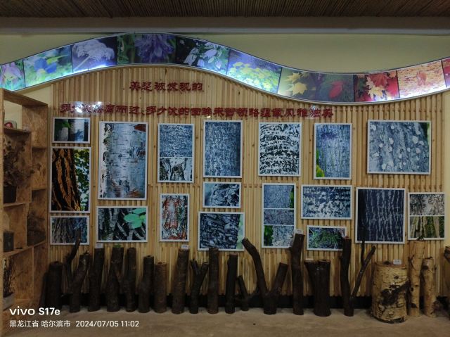 香炉山国家森林公园-自动售卖机旅行图片 8