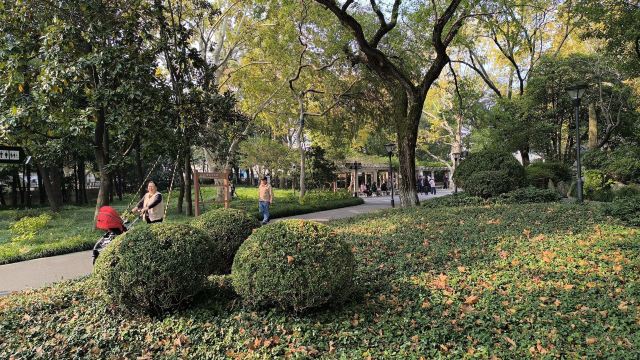 闸北公园旅行图片 3
