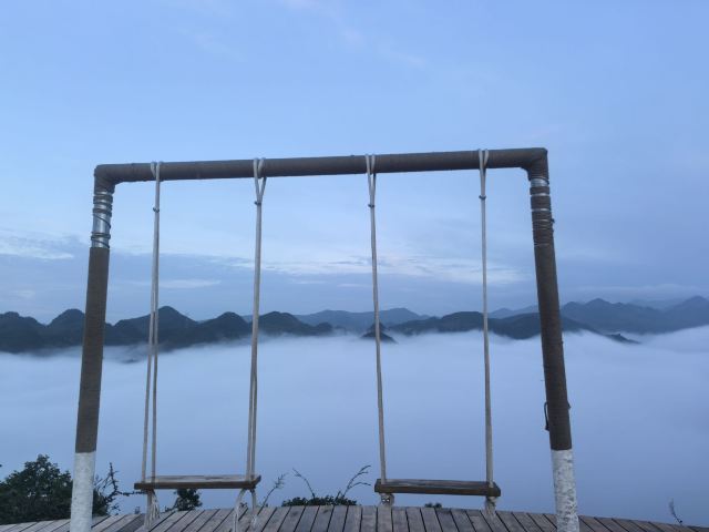 水城国家杜鹃公园旅行图片 6