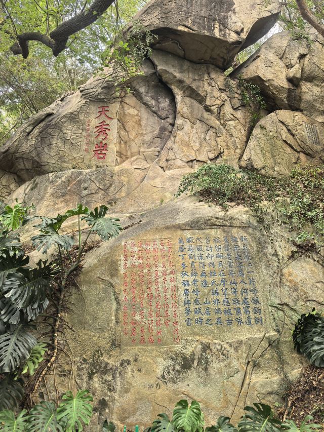 乌山历史风貌区旅行图片 4