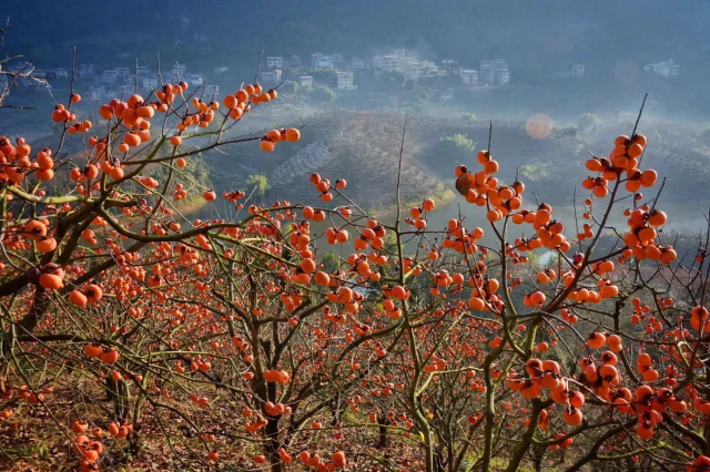 红岩旅游区旅行图片 2