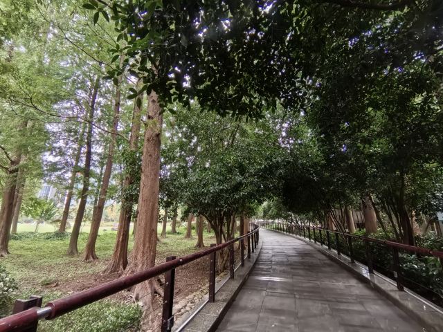 古城公园旅行图片 4