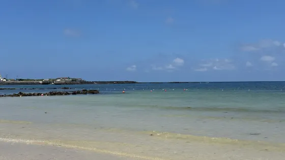 珊瑚海水浴場